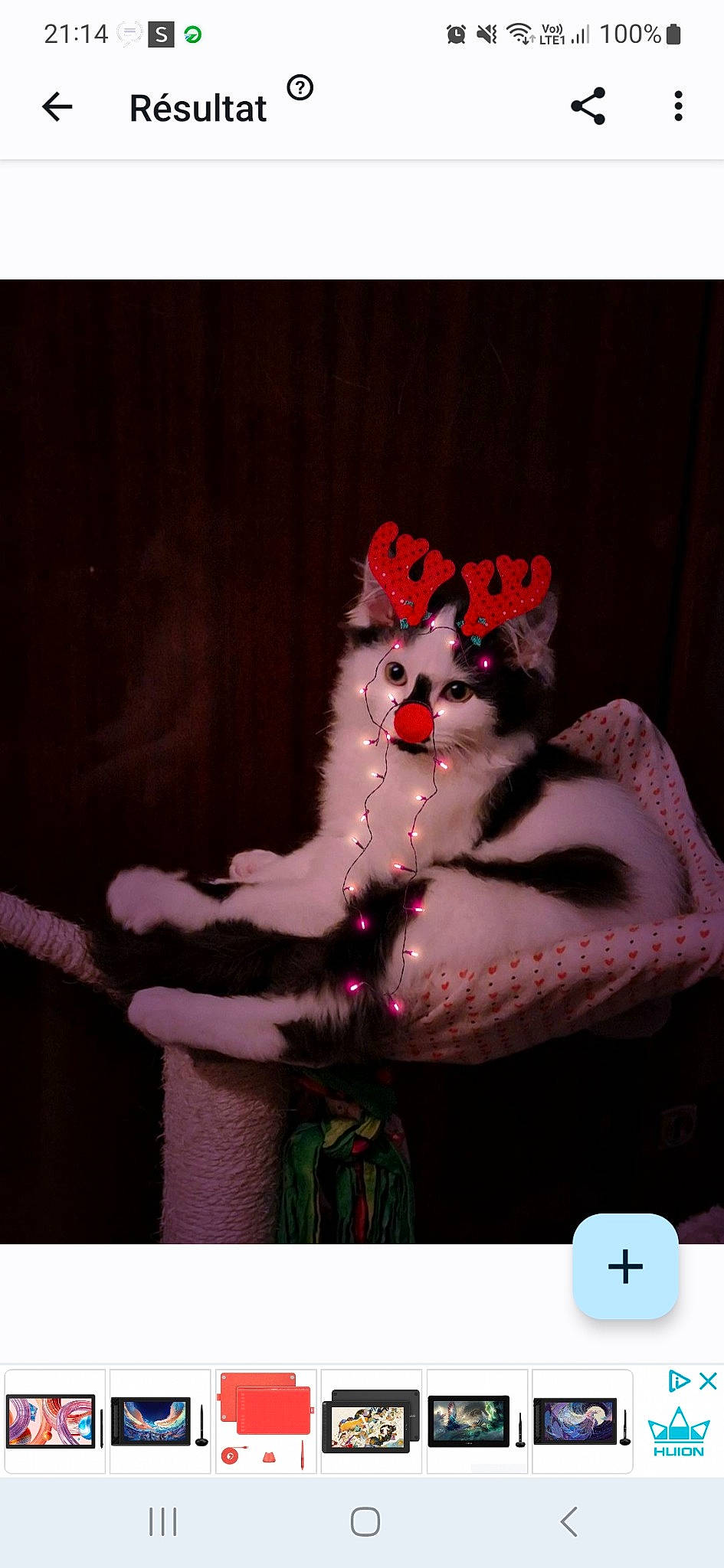 Tico participe au concours pour gagner de l'argent avec cette photo : art, carmine, carnivore, companion_dog, event, fawn, felidae, fictional_character, font, fur, magenta, pink, plush, sitting, sleeve, small_to_medium_sized_cats, stuffed_toy, tail, toy, whiskers