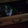 cat, drawer, wood, furniture, indoor, pet, animal, curious, hidden, dark, shadows, ears, eyes, quiet, cozy, tabby, small, cute, resting, still