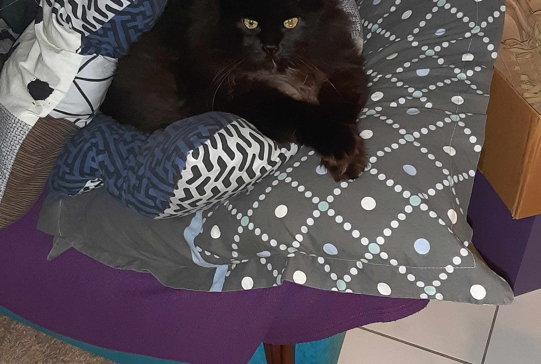 Pépère