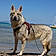 Ares