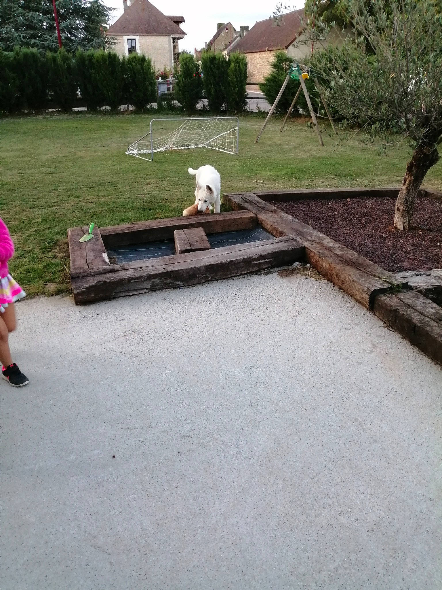 Donuts a rejoint le concours — aidez-le/la à gagner de superbes lots ! asphalt, backyard, concrete, driveway, flagstone, games, grass, leisure, park, patio, plant, road_surface, tree, water