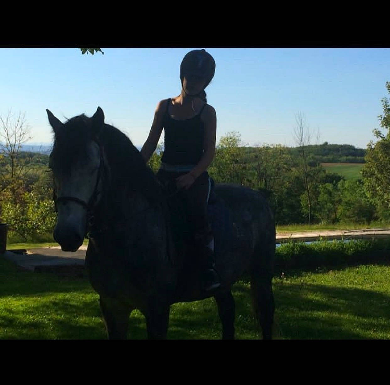 Urex a rejoint le concours — aidez-le/la à gagner de superbes lots ! bridle, cloud, equestrianism, halter, horse, horse_supplies, horse_tack, horse_trainer, mammal, mane, mare, mustang_horse, organism, pack_animal, recreation, rein, riding_instructor, sky, stallion, vertebrate