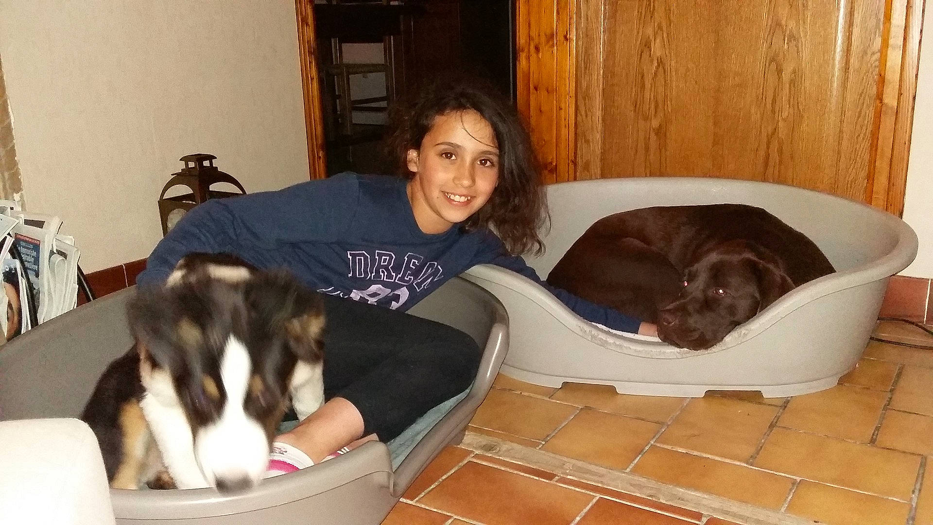 Ombeline a rejoint le concours — aidez-le/la à gagner de superbes lots ! animal_shelter, dog, dog_like_mammal, joy, mammal, nap, puppy