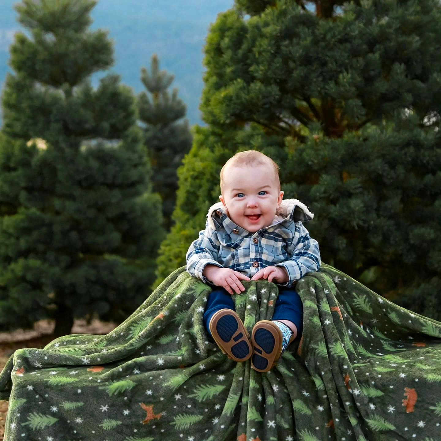 Sebastian joined the competition — help win amazing prizes! baby, blanket, clothing, conifer, face, furniture, grass, green, happy, head, pants, person, photography, plant, portrait, quilt, sitting, smile, tree, vegetation