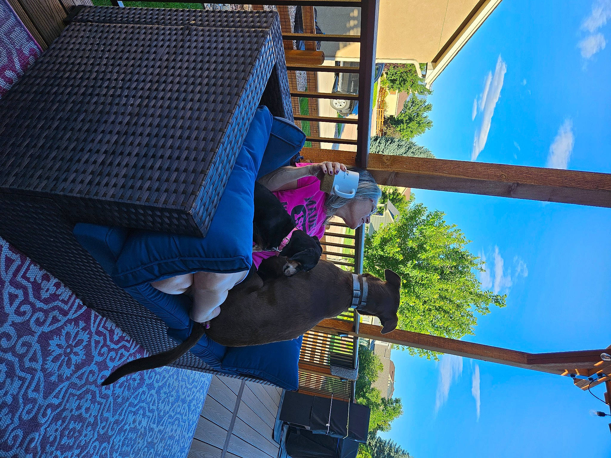 Howie joined the competition — help win amazing prizes! azure, city, electric_blue, facade, flooring, fun, hat, house, leisure, magenta, outdoor_furniture, plant, pole, purple, sky, tree, urban_design, wood