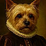 dog, portrait, costume, renaissance, clothing, ruffled_collar, brown_fur, pet, animal, face, ears, black_nose, closeup, studio_lighting, vintage_style, artistic, fancy, historical, expression, fancy_dress