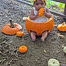 baby, child, pumpkin, autumn, outdoor, nature, portrait, sitting, dress, costume, yellow_bow, orange, toy, smiling, face, garden, leaves, wooden_fence, fall, seasonal
