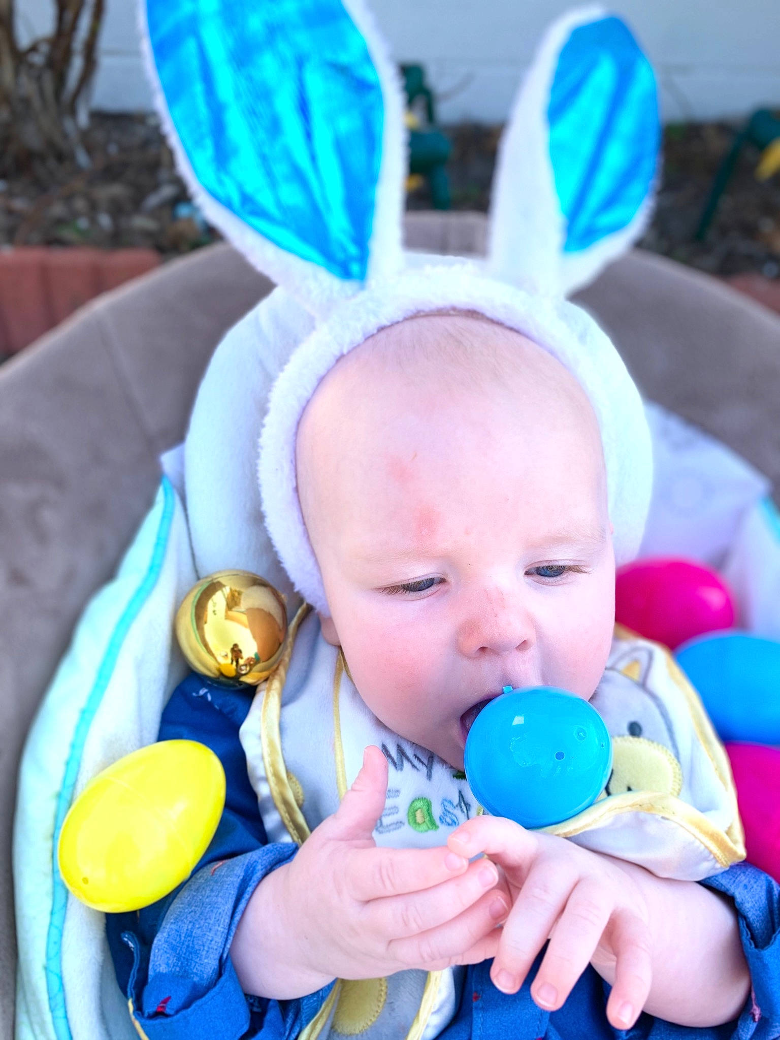 Asher is registered to the contest to win money with this photo: baby, baby_toddler_clothing, blue, cheek, child, ear, fun, grass, green, happy, houseplant, organ, people, person, pink, plant, product, skin, textile, toddler