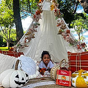 Genesis is registered to the contest to win money with this photo: child, tent, autumn_leaves, pumpkin, plush_toy, pillow, outdoor, tree, grass, smile, fall_decor, blanket, sign, nature, play, happy, sunlight, fabric, garden, holiday