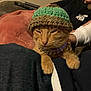 cat, orange_cat, knitted_hat, gold_chain, pet, indoor, relaxed, person, lap, blanket, remote_control, furniture, cozy, resting, animal, cute, domestic_cat, warm, casual, home