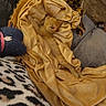 animal, blanket, comfort, cozy, cushion, fur, home, indoor, kitten, leopard_print, orange_cat, pet, plush_toy, relaxation, resting, sleeping, small_animal, soft_texture, wooden_floor, yellow