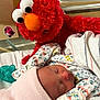 Juniper is registered to the contest to win money with this photo: newborn, baby, sleeping, hat, onesie, patterned_clothing, plush_toy, elmo, red, hospital_bassinet, pacifier, blanket, infant, face, cute, soft_toy, resting, closeup, child, indoors