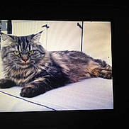 Ioupy a rejoint le concours — aidez-le/la à gagner de superbes lots !