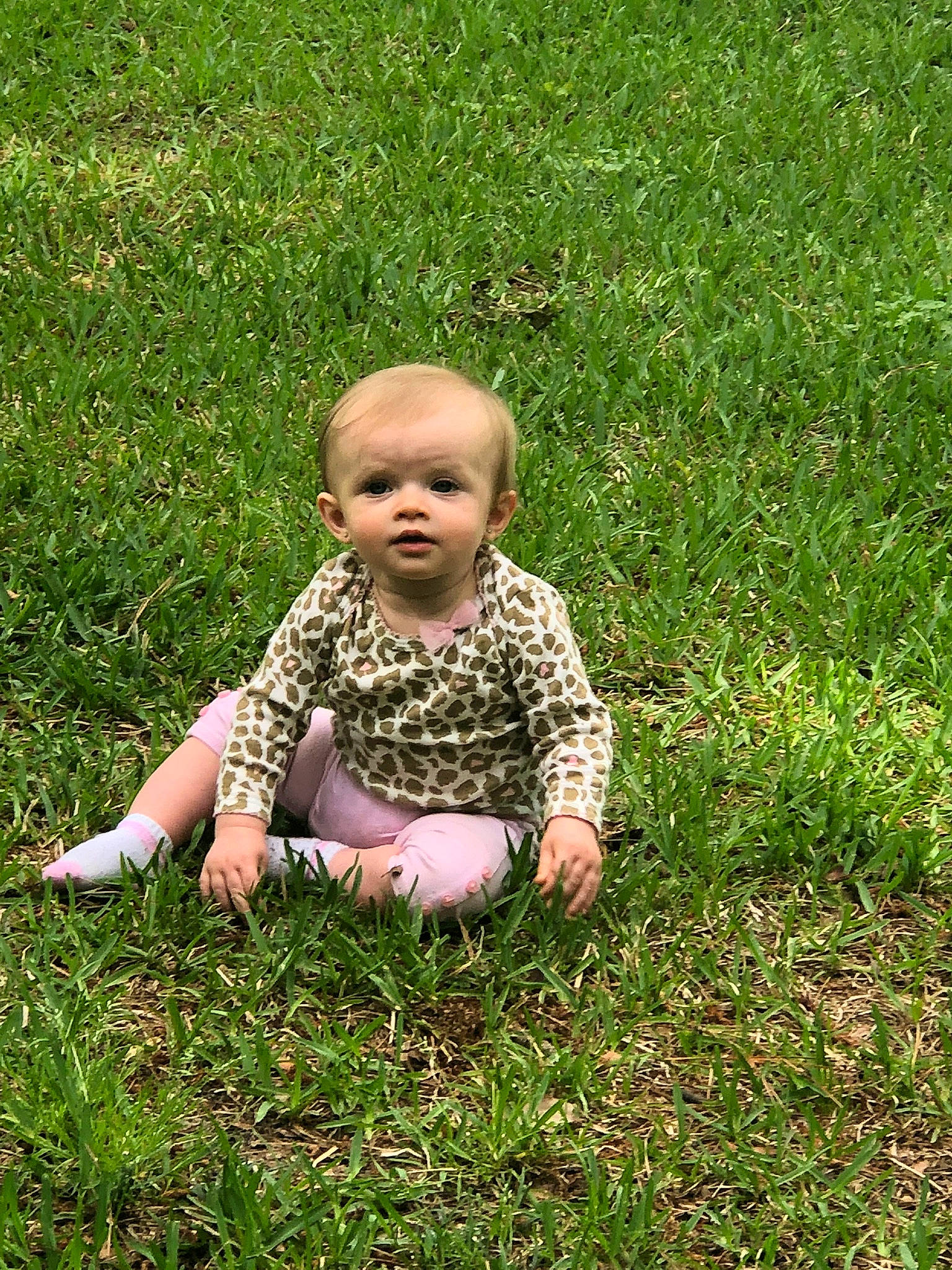 Arina joined the competition — help win amazing prizes! child, fun, grass, grass_family, grassland, green, lawn, leaf, meadow, people_in_nature, person, plant, sitting, smile, summer, toddler