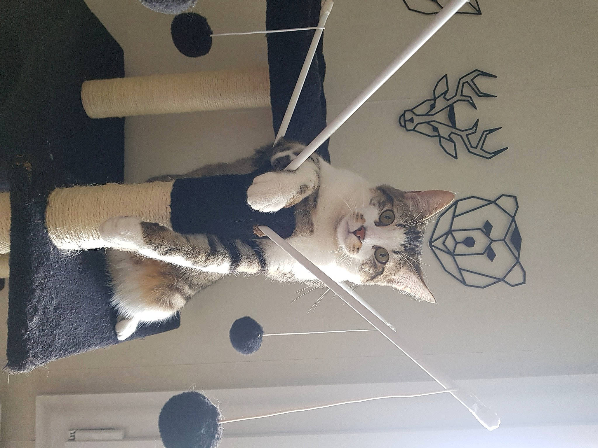 Marvel participe au concours pour gagner de l'argent avec cette photo : art, ceiling, circle, electrical_wiring, flooring, font, graphics, leg, room, shelf, visual_arts, wire