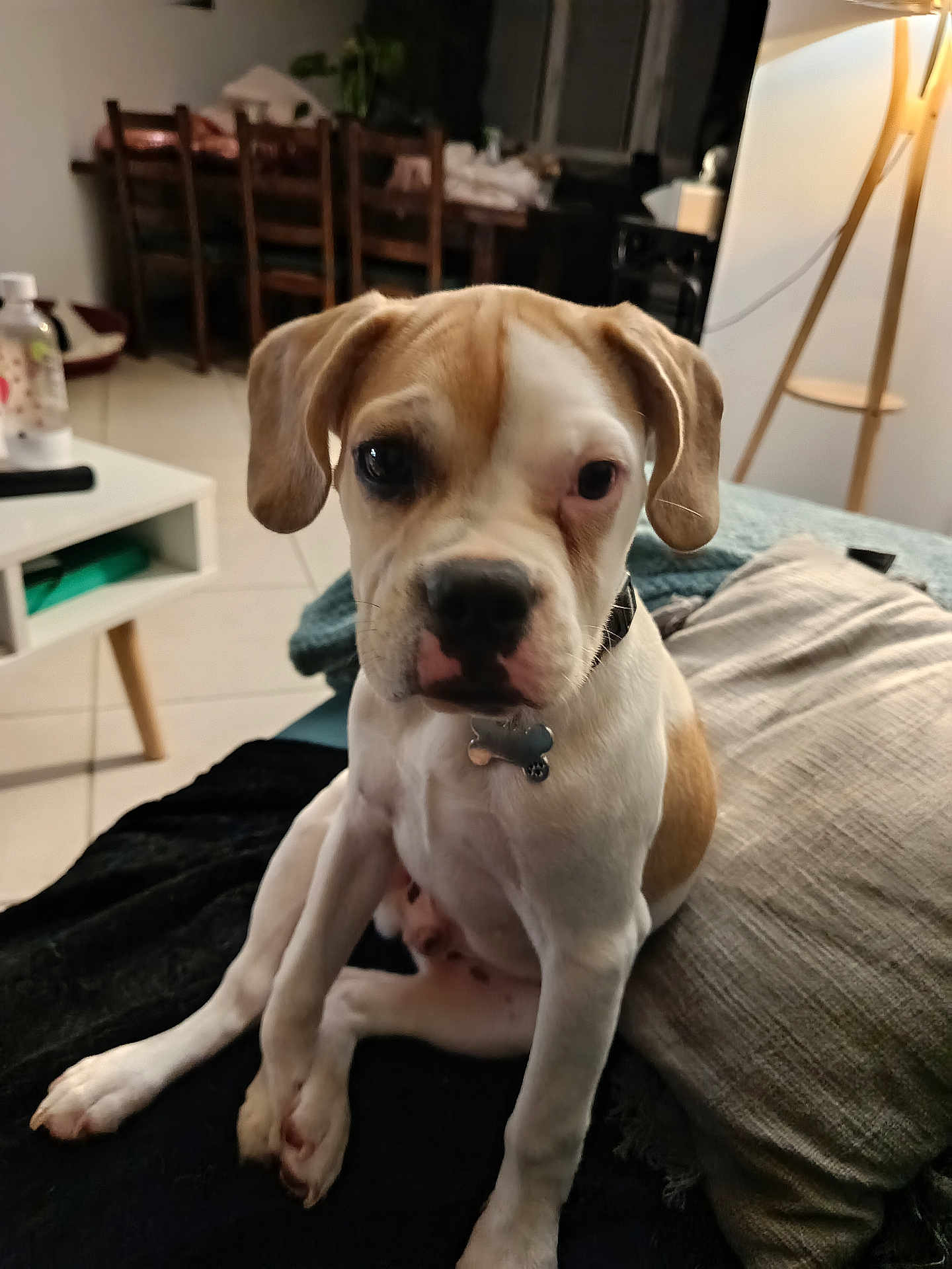 Django