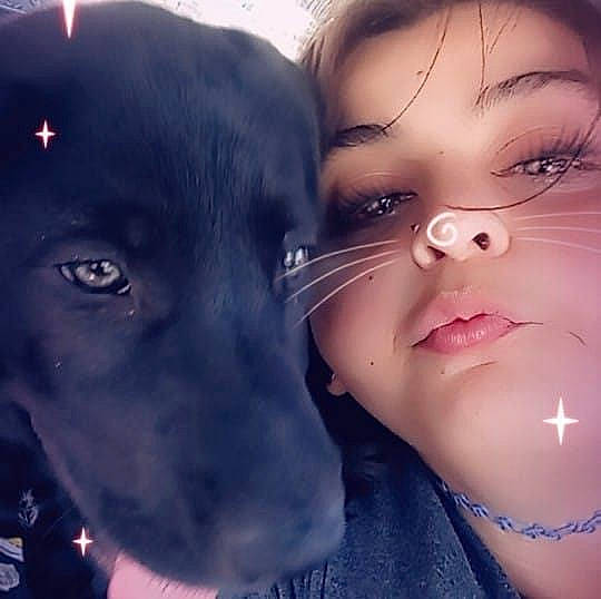 Daisy May joined the competition — help win amazing prizes! art, black_hair, carnivore, child, companion_dog, dog, dog_breed, electric_blue, eyelash, flash_photography, fun, gesture, happy, jaw, love, nose, smile, sporting_group, toddler, working_animal