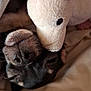animal, black_dog, blanket, close_up, comfort, cozy, cuddle, cute, dog, fur, indoor, pet, plush, resting, sleepy, snuggle, soft_toy, stuffed_animal, toy, unicorn