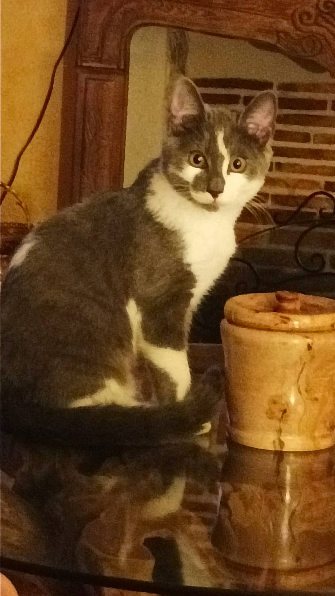 Tilou