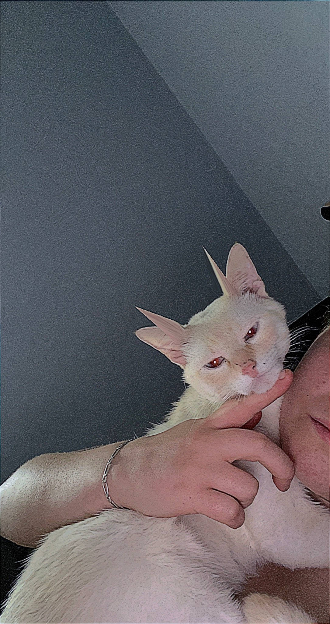 Bounty participe au concours pour gagner de l'argent avec cette photo : ear, fawn, flesh, fur, gesture, hand, nail, neck, no_expression, snout, tail, throat, thumb, whiskers, wrist