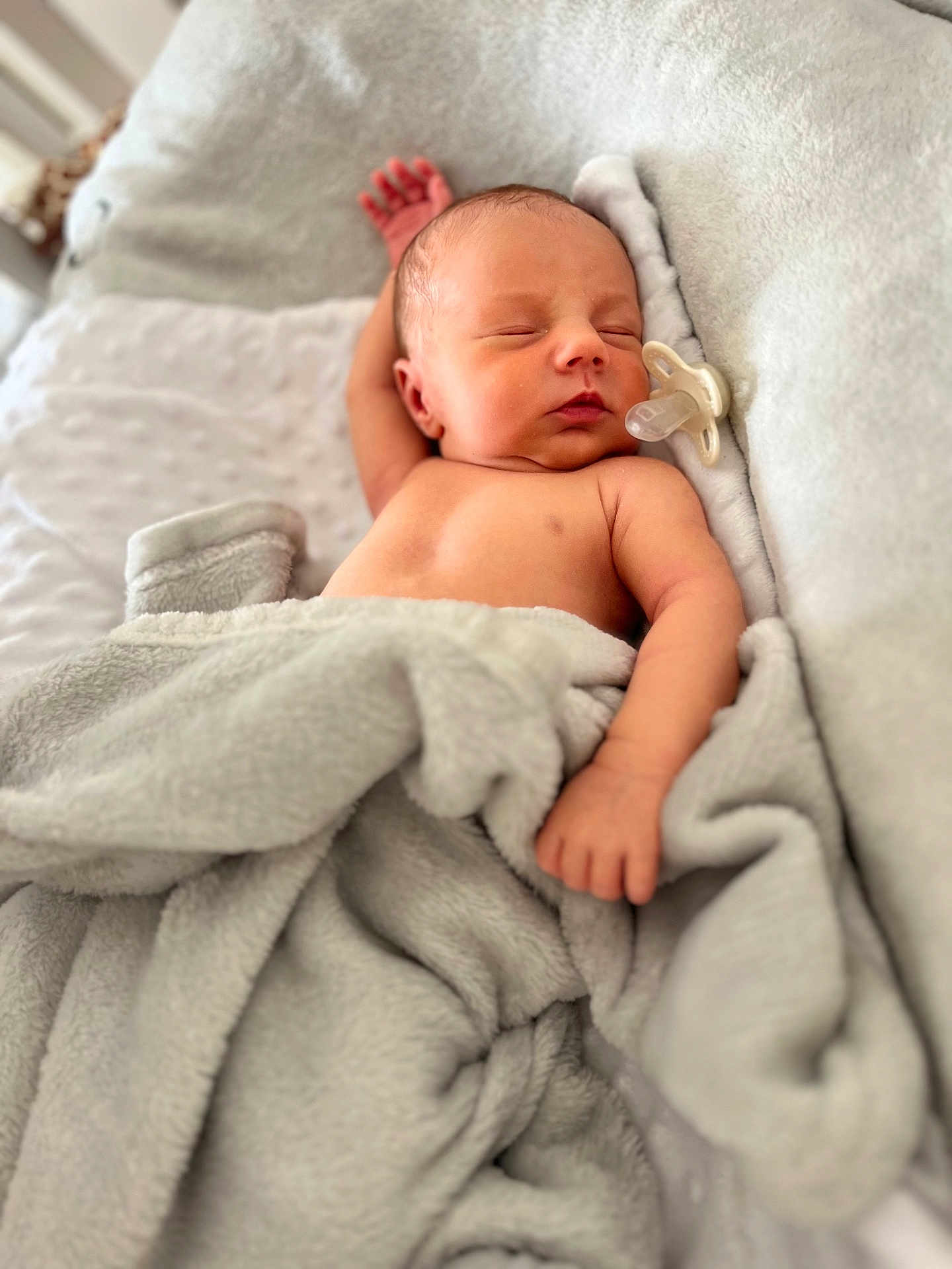 Oakley is registered to the contest to win money with this photo: baby, newborn, sleeping, blanket, pacifier, infant, soft, cozy, cute, peaceful, child, resting, skin, portrait, bed, comfort, warm, relaxation, toddler, cuddle