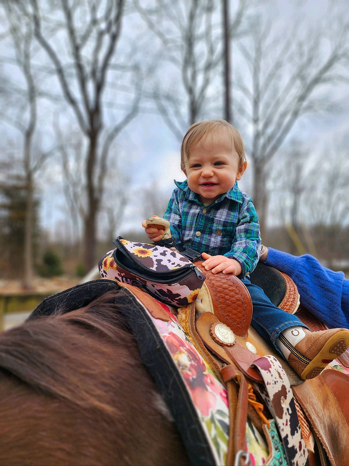 Maximus joined the competition — help win amazing prizes! bridle, equestrianism, eye, face, grass, happy, horse, horse_supplies, horse_tack, interaction, jacket, joy, pack_animal, people_in_nature, person, recreation, rein, saddle, sky, toddler