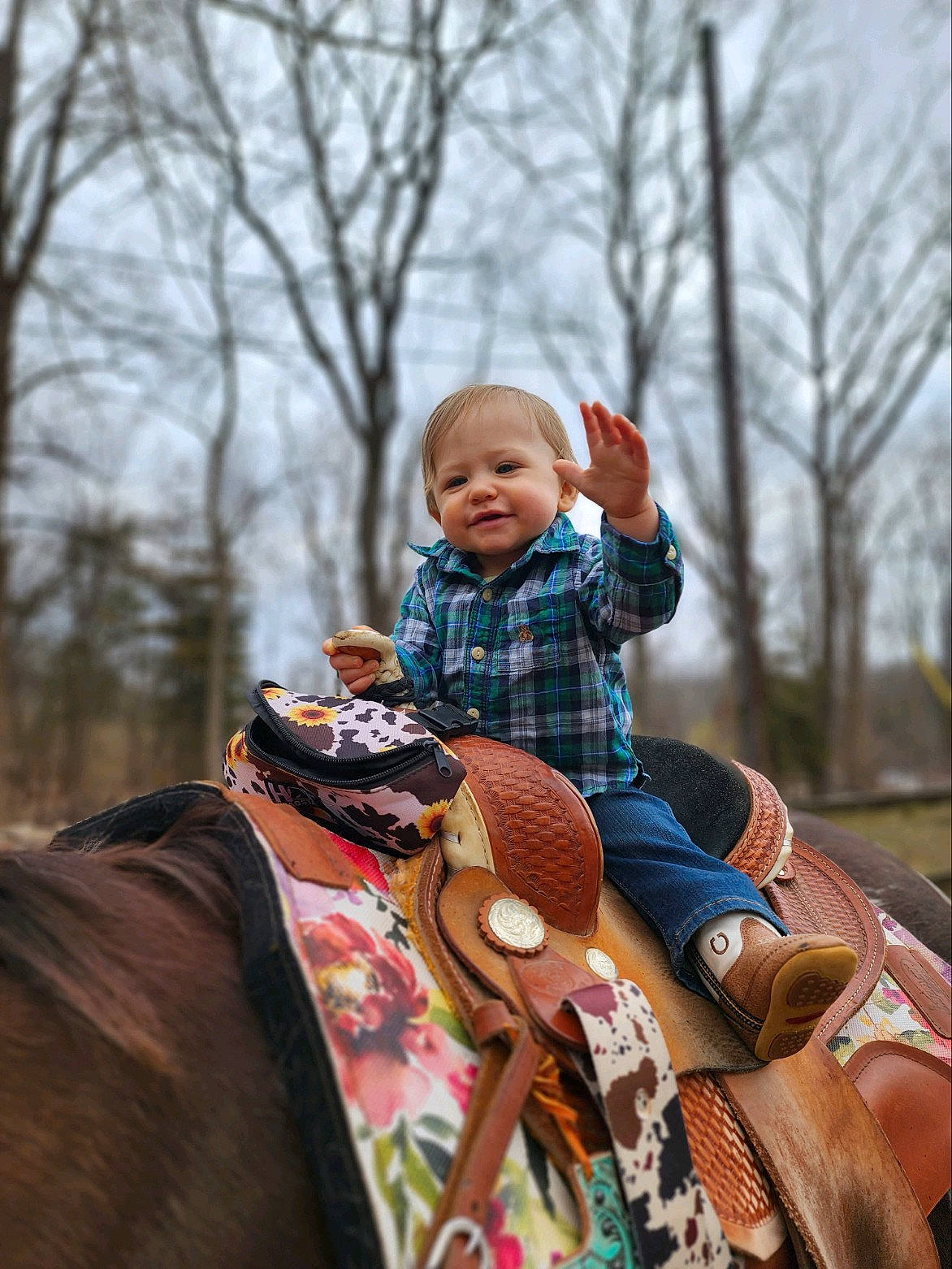 Maximus joined the competition — help win amazing prizes! baby, child, face, grass, happy, jacket, jeans, joy, leisure, mammal, outerwear, people, person, plaid, recreation, shoe, sky, tartan, toddler, tree
