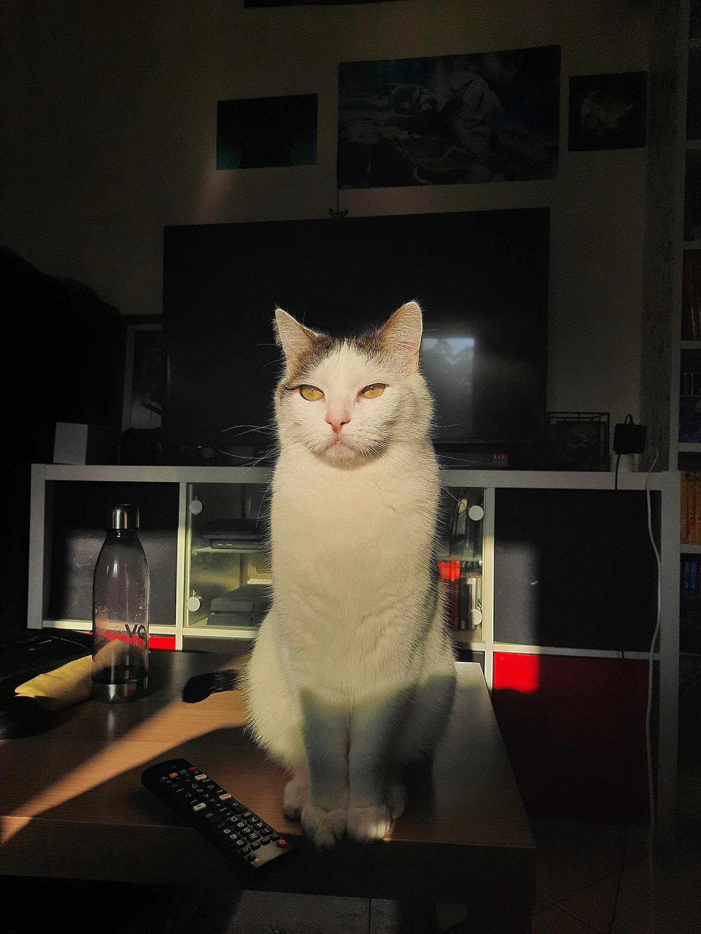 Yuki