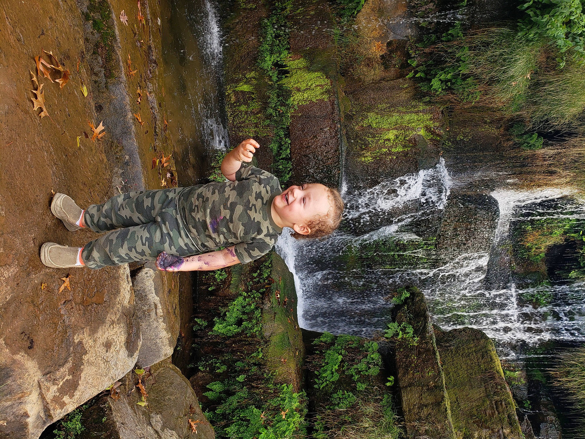 Cohen joined the competition — help win amazing prizes! adventure, font, forest, fun, grass, joy, landscape, leisure, military_camouflage, natural_landscape, non_vascular_land_plant, people_in_nature, person, plant, rock, soil, stream, tree, water, water_feature