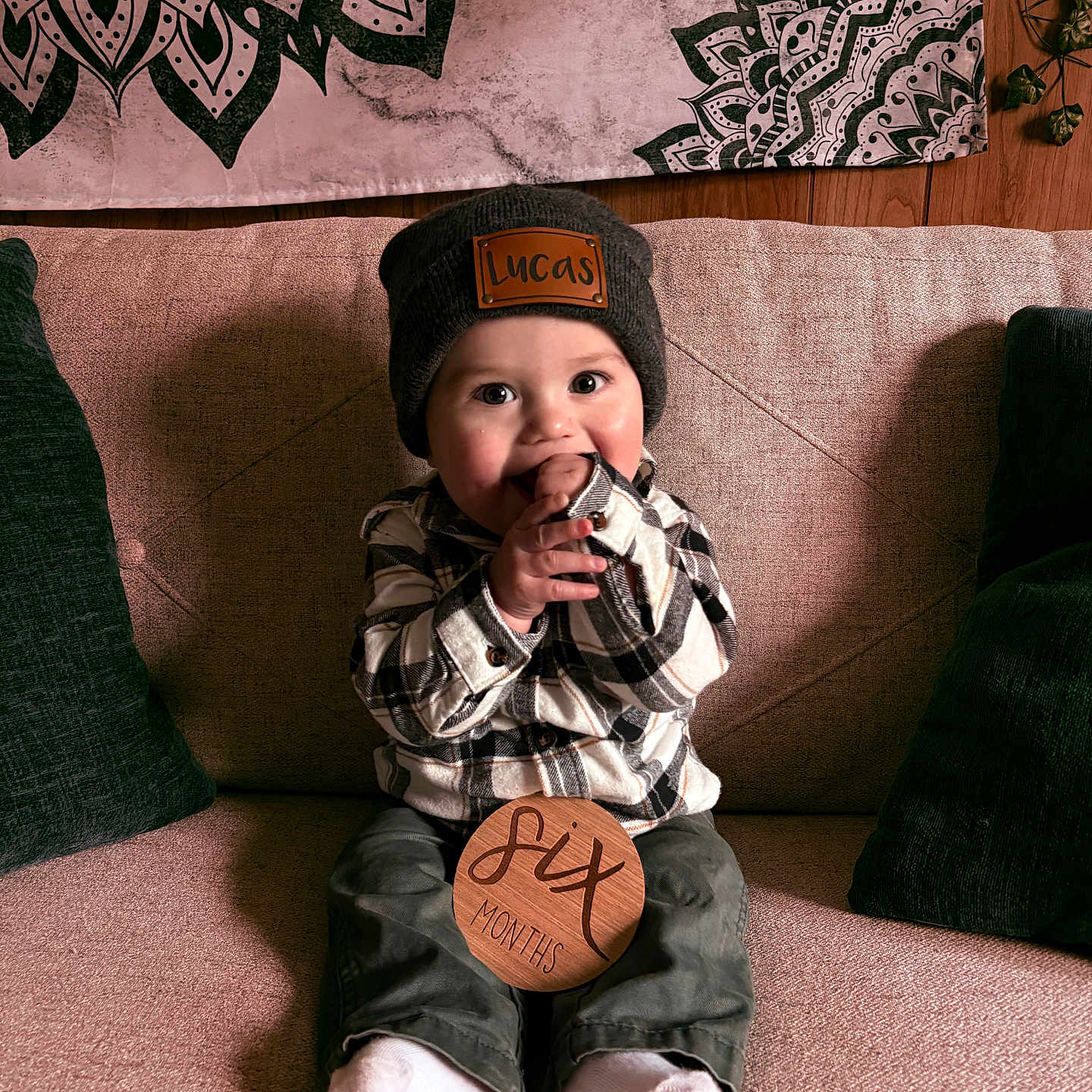 Lucas Harrison is registered to the contest to win money with this photo: baby, beanie, child, couch, cozy, cute, decor, face, hands, indoor, person, pillow, plaid_shirt, plant, sitting, six_months, smile, socks, tapestry, wooden_sign