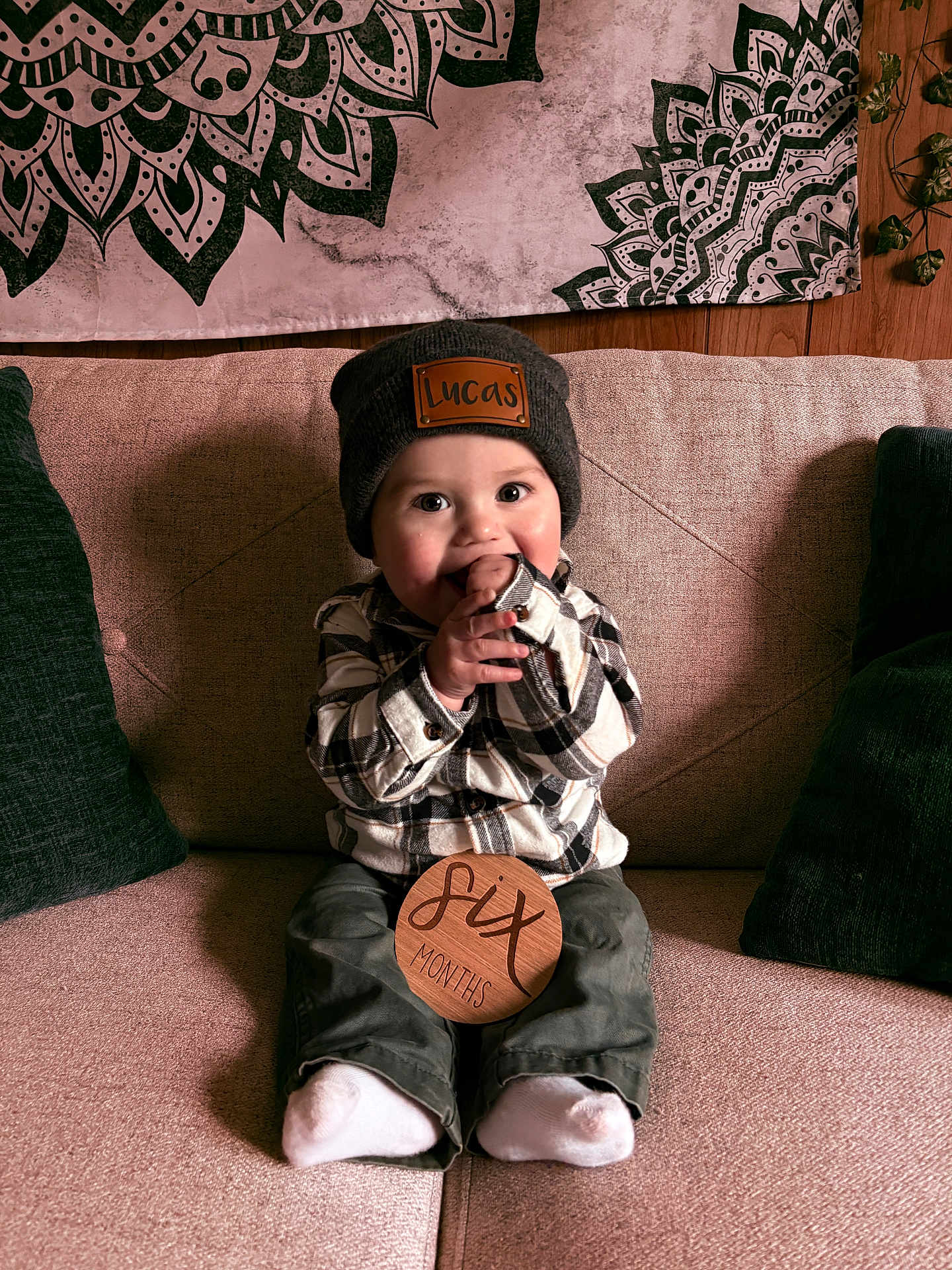Lucas Harrison is registered to the contest to win money with this photo: baby, child, beanie, plaid_shirt, couch, pillow, wooden_sign, six_months, hands, socks, face, smile, indoor, decor, tapestry, plant, cute, sitting, person, cozy
