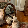 cat, mirror, reflection, rug, living_room, furniture, chair, wooden_floor, vintage_mirror, decor, home_interior, curious, fluffy_cat, patterned_rug, cozy, indoor, pet, domestic_cat, resting, soft_lighting