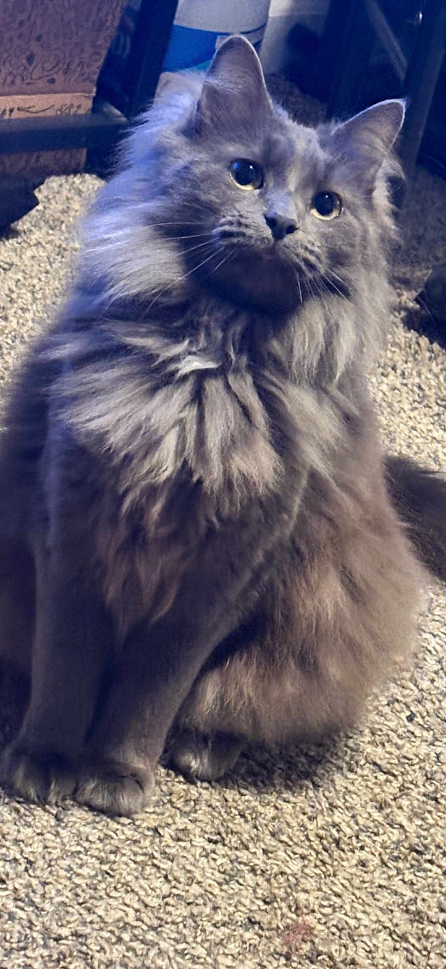 Mamas
