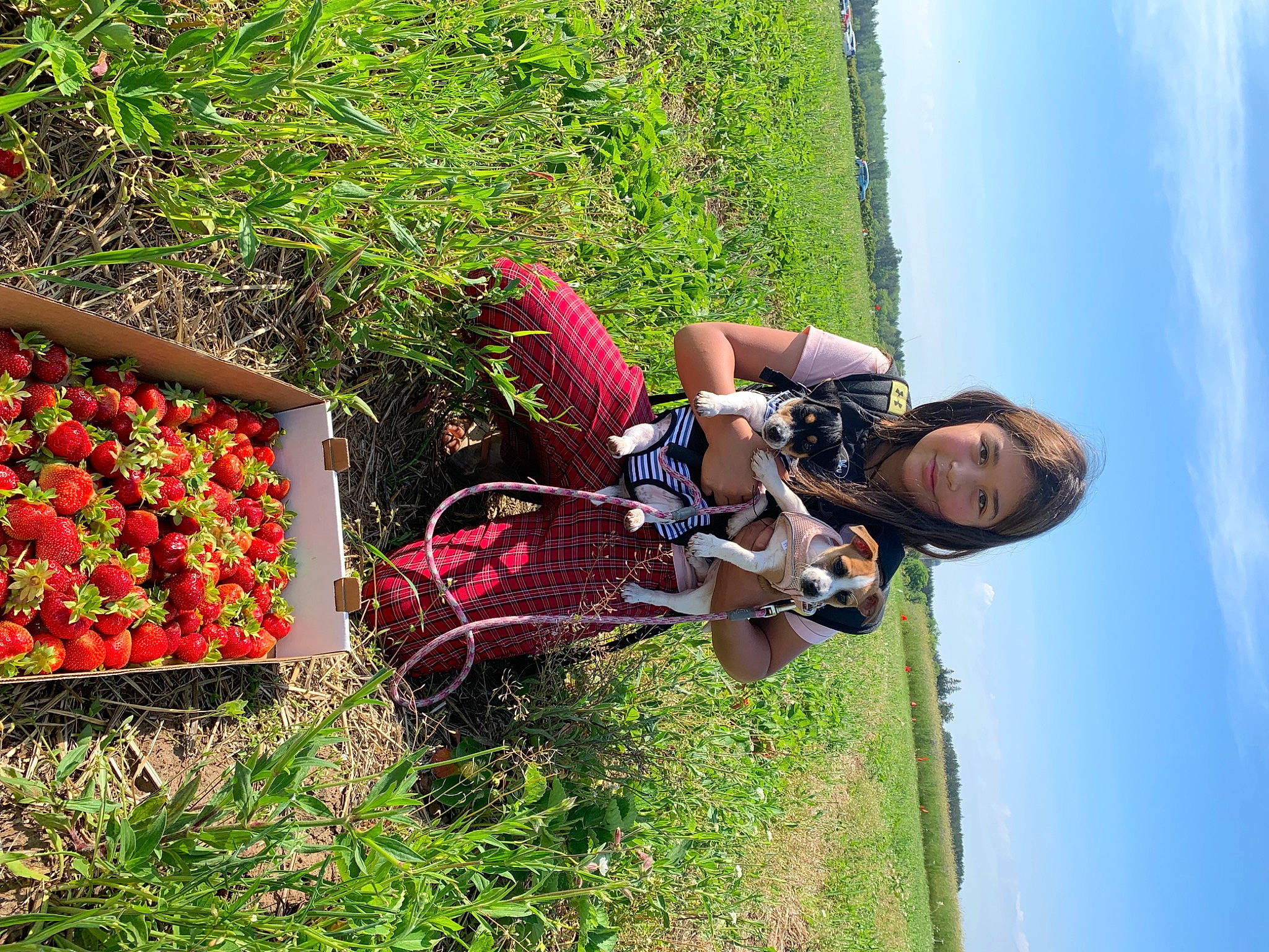Ariannah is registered to the contest to win money with this photo: annual_plant, cloud, flower, fruit, fun, grass, green, happy, helmet, landscape, leisure, people_in_nature, person, plant, recreation, shrub, sky, smile, tire, toddler