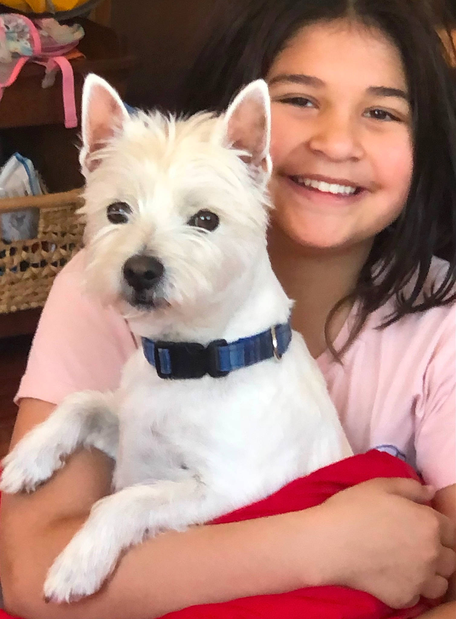 Ariannah joined the competition — help win amazing prizes! ancient_dog_breeds, canidae, carnivore, child, collar, companion_dog, dog, dog_breed, dog_collar, dog_supply, ear, fashion_accessory, fawn, fur, happy, joy, person, small_terrier, smile, terrier