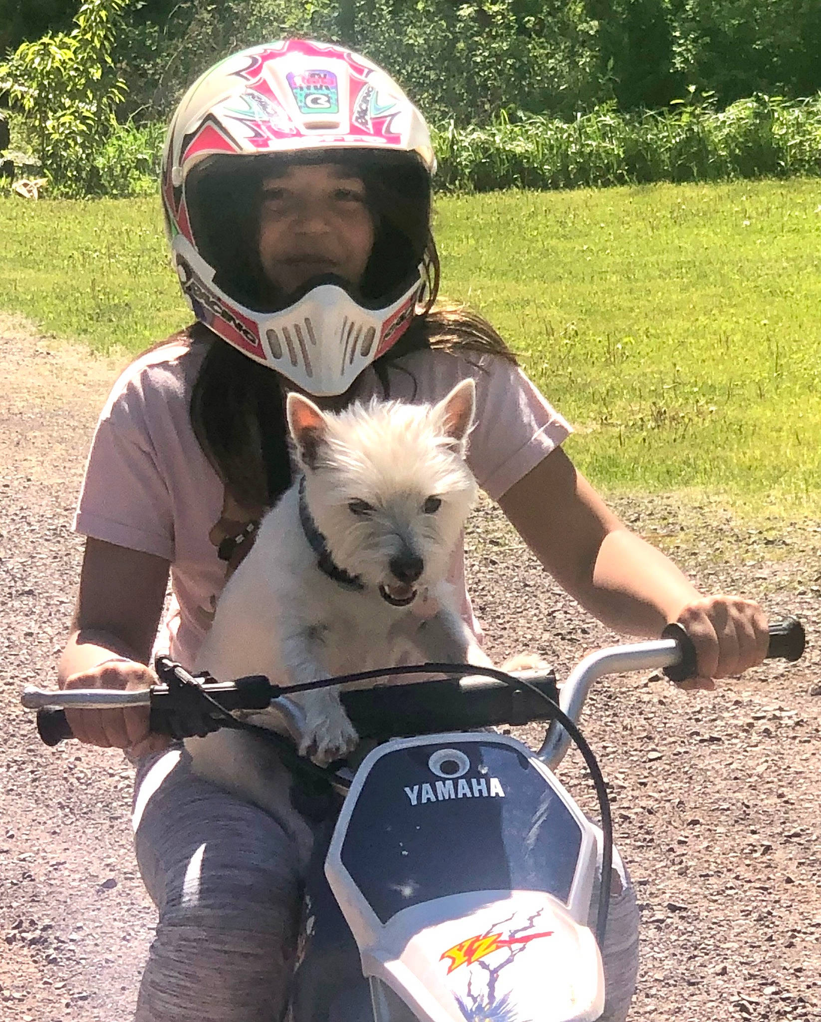 Ariannah is registered to the contest to win money with this photo: bicycle, bicycle_accessory, bicycles_equipment_and_supplies, canidae, cap, carnivore, companion_dog, cycling, dog, dog_breed, grass, headwear, helmet, leisure, mammal, person, personal_protective_equipment, plant, recreation, sporting_group