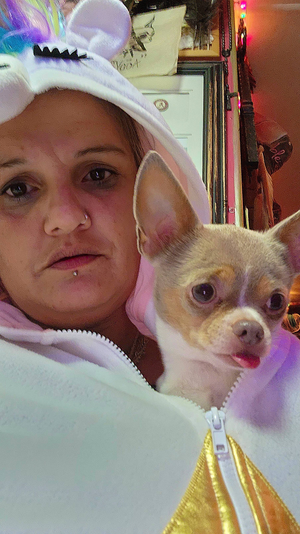 Yoda joined the competition — help win amazing prizes! canidae, cap, carnivore, chihuahua, companion_dog, dog, dog_breed, dog_supply, ear, eyelash, fashion_accessory, fawn, fun, fur, happy, skin, snout, toy_dog, whiskers, working_animal