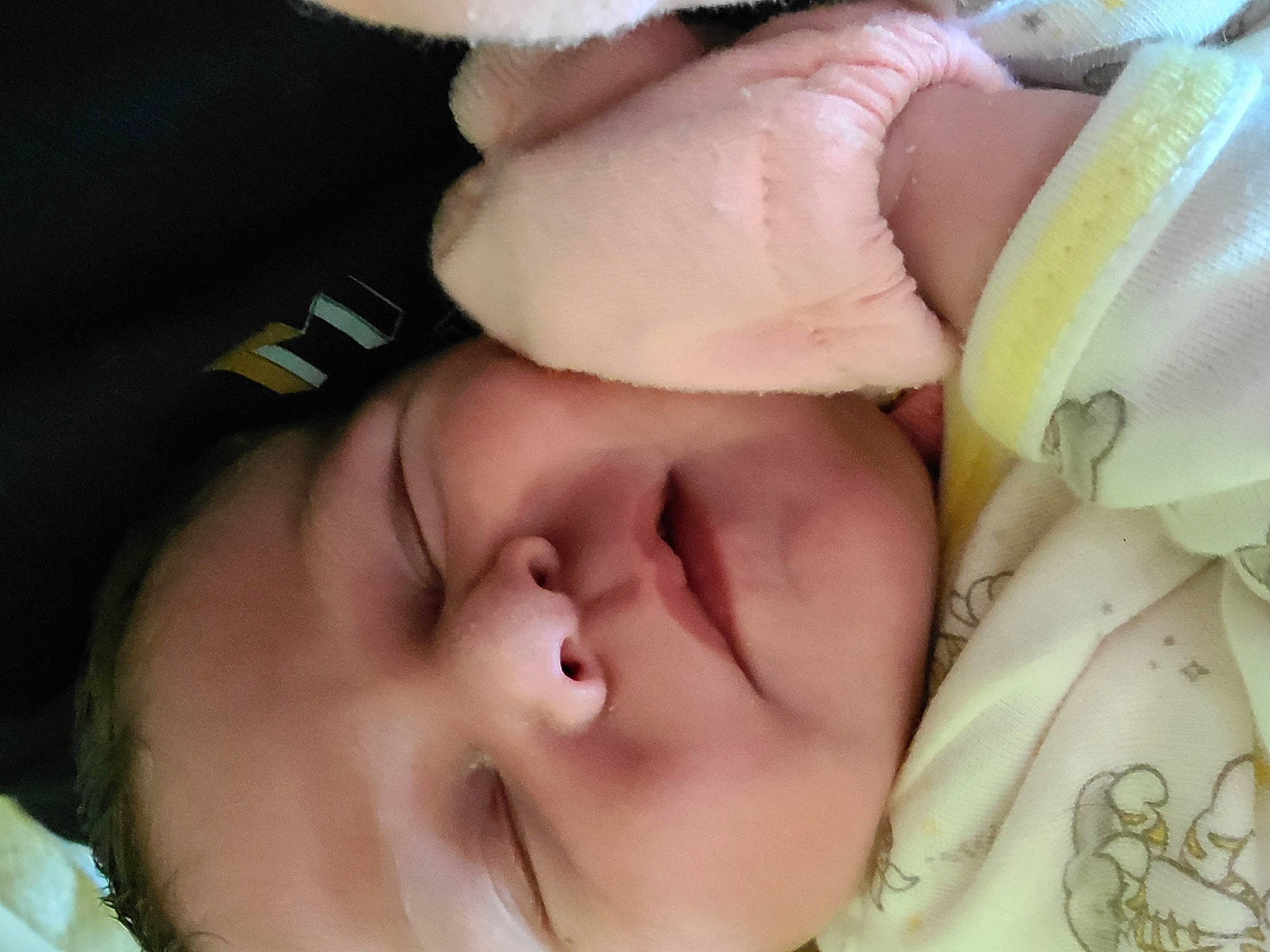 Diamond is registered to the contest to win money with this photo: baby, baby_sleeping, cheek, chin, comfort, ear, eye, eyebrow, eyelash, gesture, happy, head, headgear, iris, lip, mouth, nose, person, skin, thumb