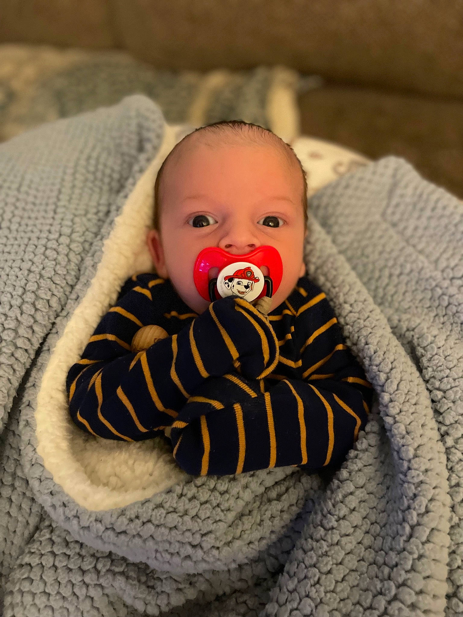 Marshall joined the competition — help win amazing prizes! baby, baby_toddler_clothing, carmine, cheek, child, comfort, eye, face, flooring, fur, happy, head, human_body, linens, nose, pattern, person, sitting, sleeve, toddler