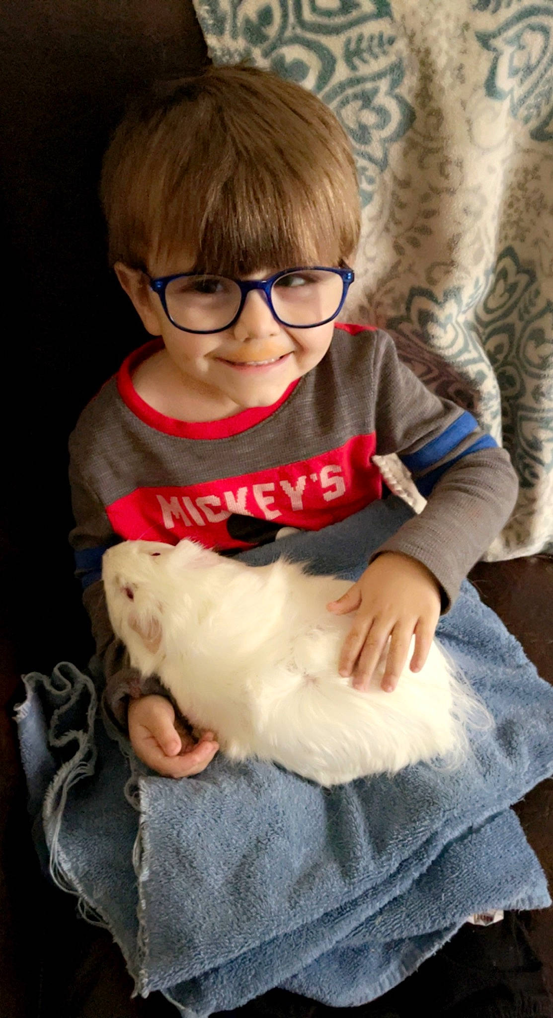 Jesse is registered to the contest to win money with this photo: carnivore, cat, child, companion_dog, eyewear, fawn, felidae, fur, glasses, hand, head, joy, person, sitting, skin, sleeve, small_to_medium_sized_cats, smile, t_shirt, toddler