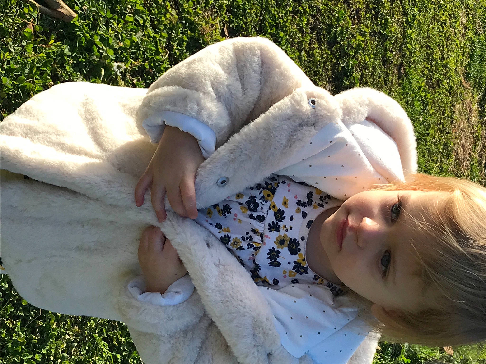 Guilia participe au concours pour gagner de l'argent avec cette photo : baby, baby_toddler_clothing, beauty, fur, grass, grass_family, happy, human, lip, meadow, people_in_nature, person, portrait_photography, skin, spring, summer