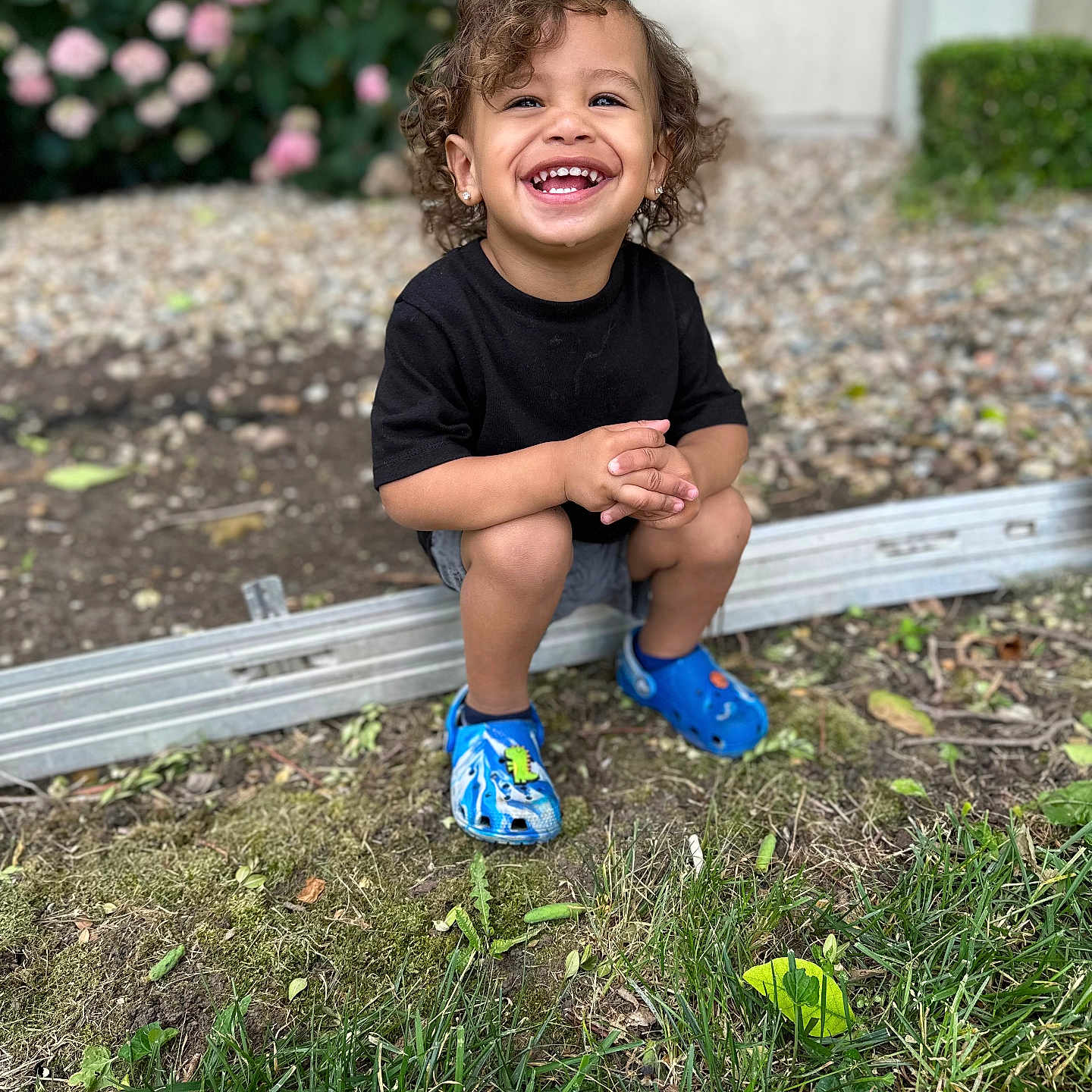 Xzavier joined the competition — help win amazing prizes! anemone, animal, architecture, backyard, ball, bench, blonde, bodypart, building, child, city, clothing, costume, cream, daisy, dessert, dress, face, female, fence