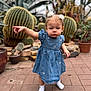 child, toddler, girl, dress, blue_dress, socks, pigtails, hair_bows, cactus, succulent, greenhouse, plants, pottery, brick_pavers, portrait, standing, pointing, serious_expression, potted_plant, blurred_background