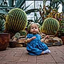 Addy joined the competition — help win amazing prizes! child, toddler, baby, cactus, greenhouse, plants, succulent, potted_plant, blue_dress, sitting, bricks, floor, portrait, cute, hair_bows, pottery, indoor, eyes, expression, nature