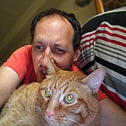 King is registered to the contest to win money with this photo: man, cat, orange_tabby, indoor, selfie, close_up, striped_fabric, couch, pet, feline, person, casual_clothing, relaxed, whiskers, fur, eyes, head, face, comfort, home