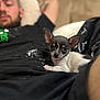 Delilah is registered to the contest to win money with this photo: puppy, dog, chihuahua, person, relaxing, indoor, black_shirt, couch, pet, cute, lying_down, closeup, small_dog, resting, young_dog, companion, domestic_animal, animal, human, casual