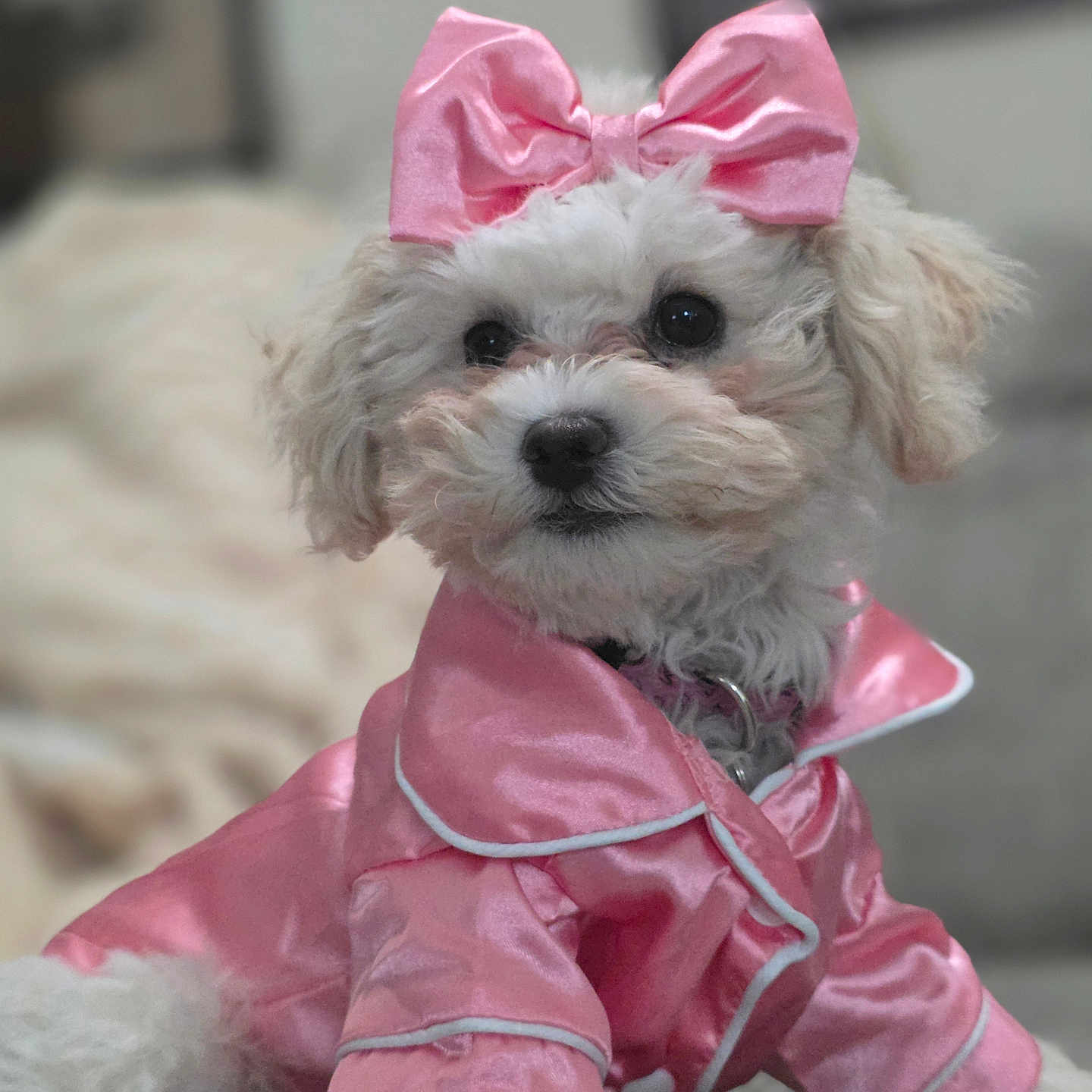 Zoey