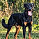 Ares