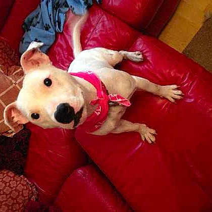 Lulu