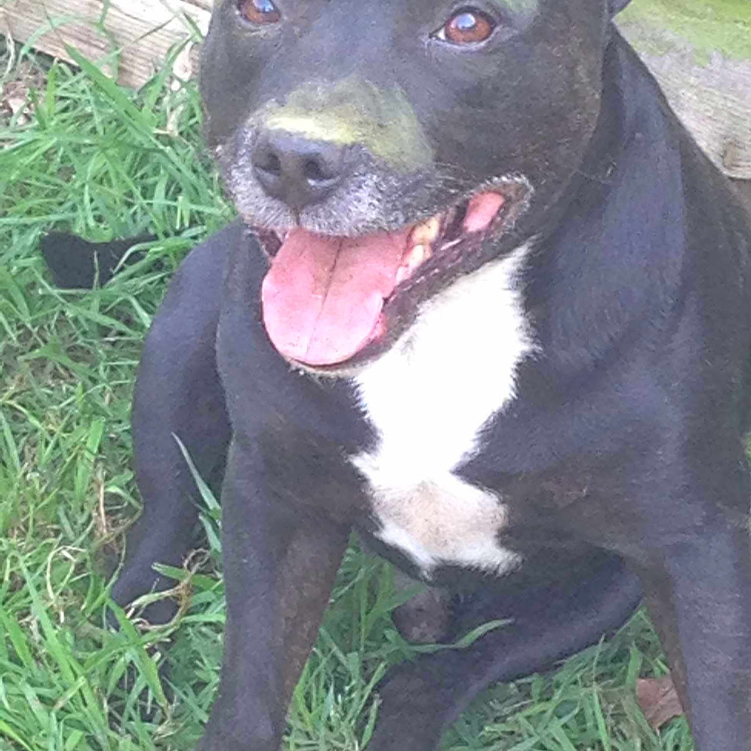 Bronx joined the competition — help win amazing prizes!